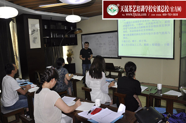 第176期：福鼎白茶的加工与审评、白茶实践审评(图1)