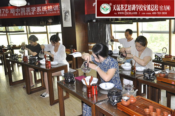 第176期：安溪茶艺之茶具展示学习(图3)