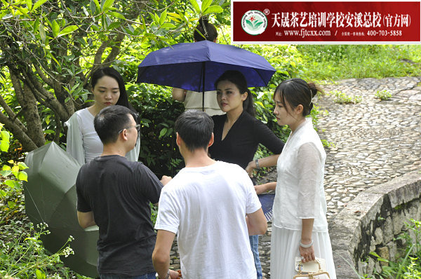 第176期：参观安溪茶叶大观园(图3)