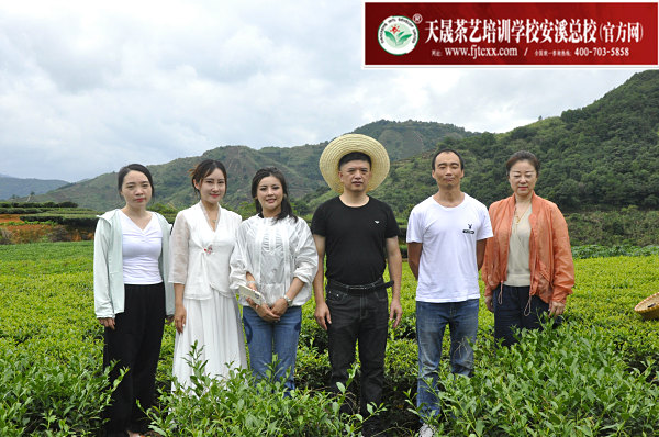 第176期：实践体验安溪乌龙茶制作(图1)