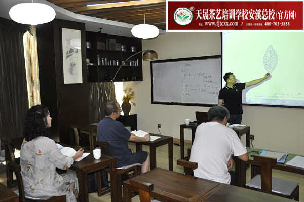 第177期：六大茶类加工与审评——茶叶的分类(图1)