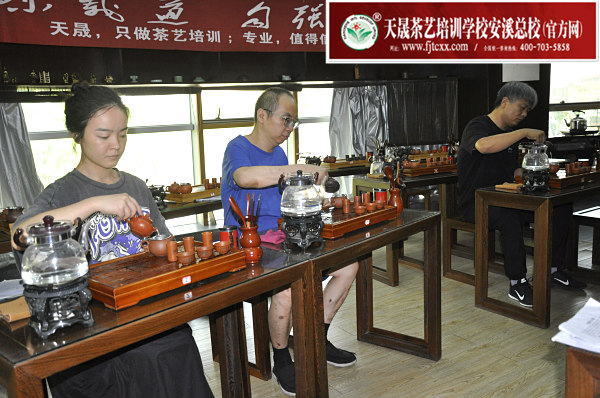 第177期：台湾十八道茶艺分段讲解与训练、茶艺坐姿训练(图2)