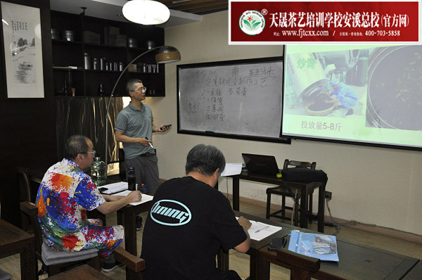 第177期：铁观音香型分类与审评(图1)