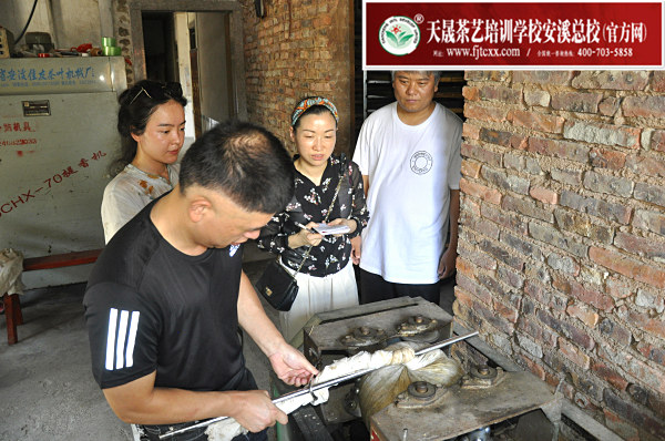 第177期：实践体验安溪乌龙茶制作(图2)