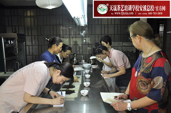 第178期：铁观音香型分类与审评(图2)