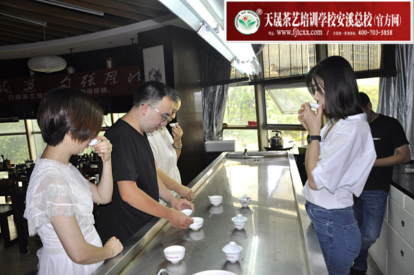 第178期：绿茶的加工与审评、绿茶实践审评(图2)