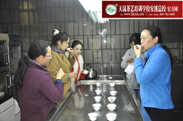 第181期：福鼎白茶的加工与审评、白茶实践审评(图2)