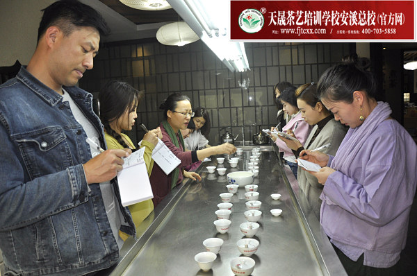 第182期：金骏眉、正山小种的加工与审评 红茶实践审评(图2)