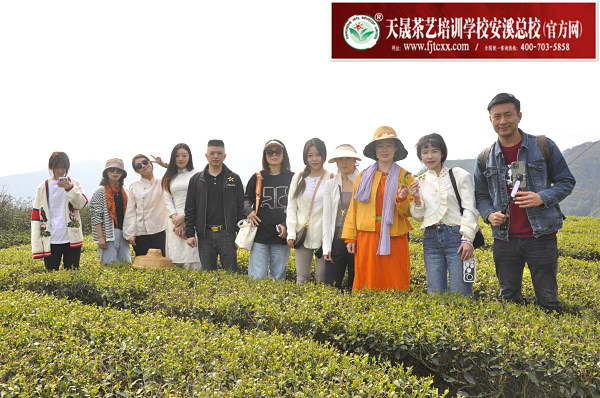 第182期：实践体验安溪乌龙茶制作(图1)