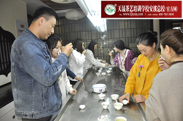 第182期：绿茶的加工与审评、绿茶实践审评(图3)