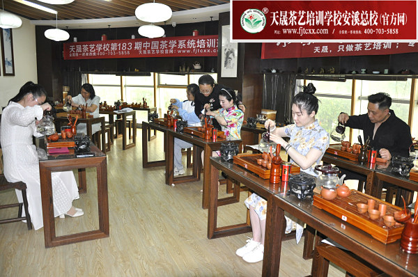 第183期：台湾十八道茶艺分段讲解与训练、茶艺坐姿训练(图1)