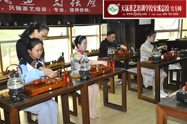 第183期：台湾十八道茶艺分段讲解与训练、茶艺坐姿训练(图3)