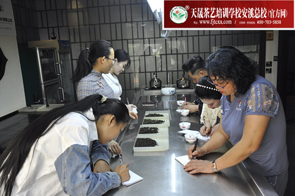 第183期：铁观音香型分类与审评(图2)