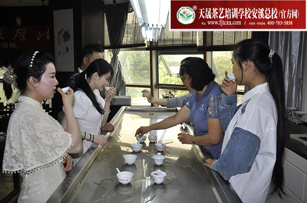 第183期：铁观音香型分类与审评(图3)