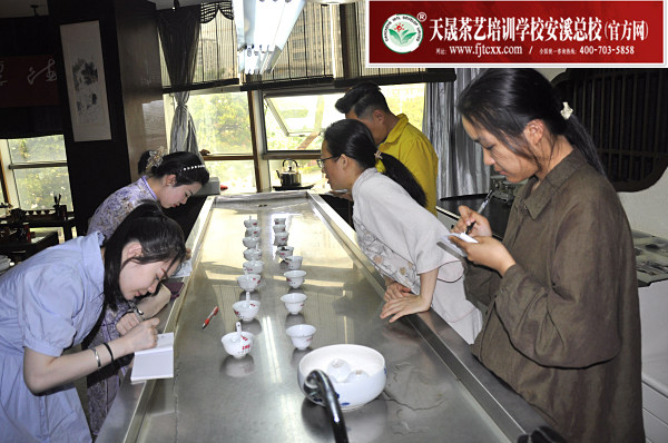 第183期：福鼎白茶的加工与审评、白茶实践审评(图2)