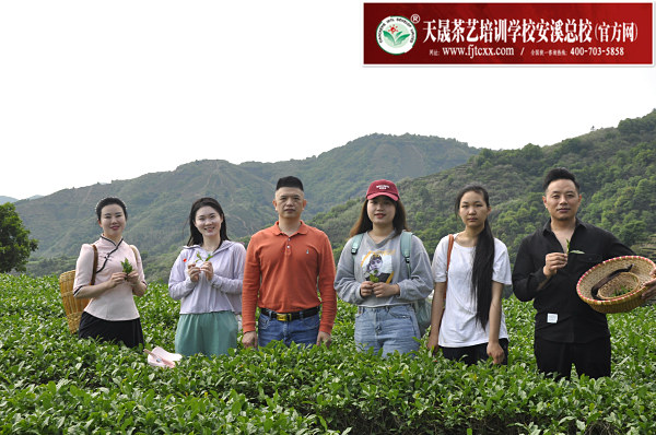 第183期：实践体验安溪乌龙茶制作(图1)