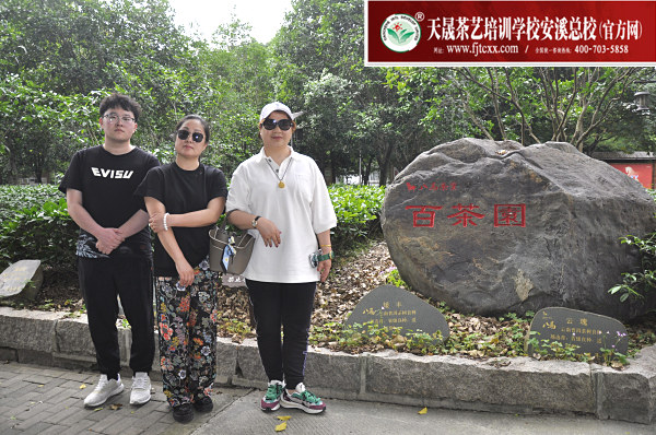 第184期：参观安溪八马茶叶百茶园(图1)