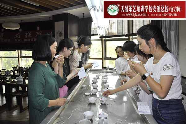 第186期：福鼎白茶的加工与审评、白茶实践审评(图3)