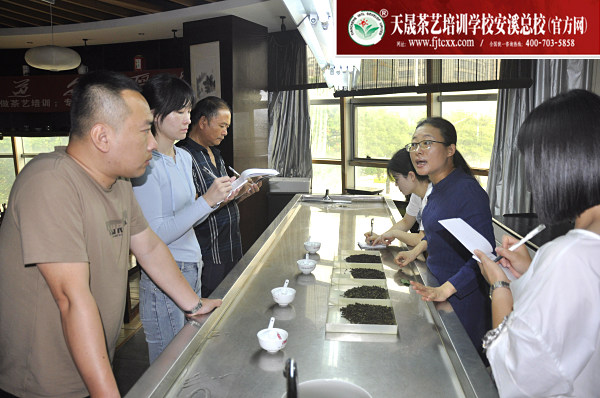 第188期：铁观音香型分类与审评(图2)