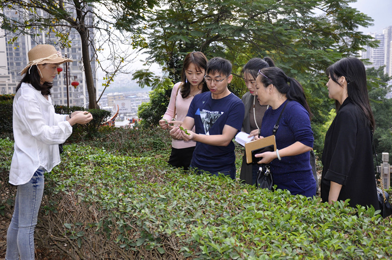 晋城茶艺培训学员问天晟茶艺培训学校：晋城哪里学茶艺最好？(图1)