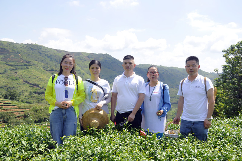 沈阳茶艺培训学员问天晟茶艺培训学校：茶艺师去哪里报名培训？(图2)
