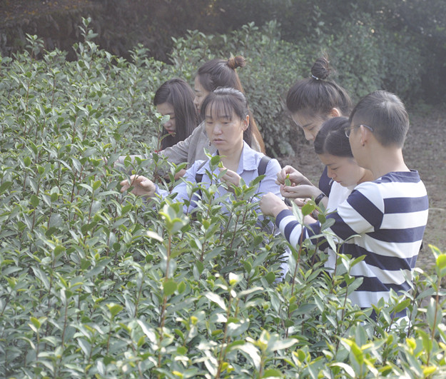 阜新茶艺培训学员问天晟茶艺培训学校：阜新茶艺培训班哪里有？(图1)