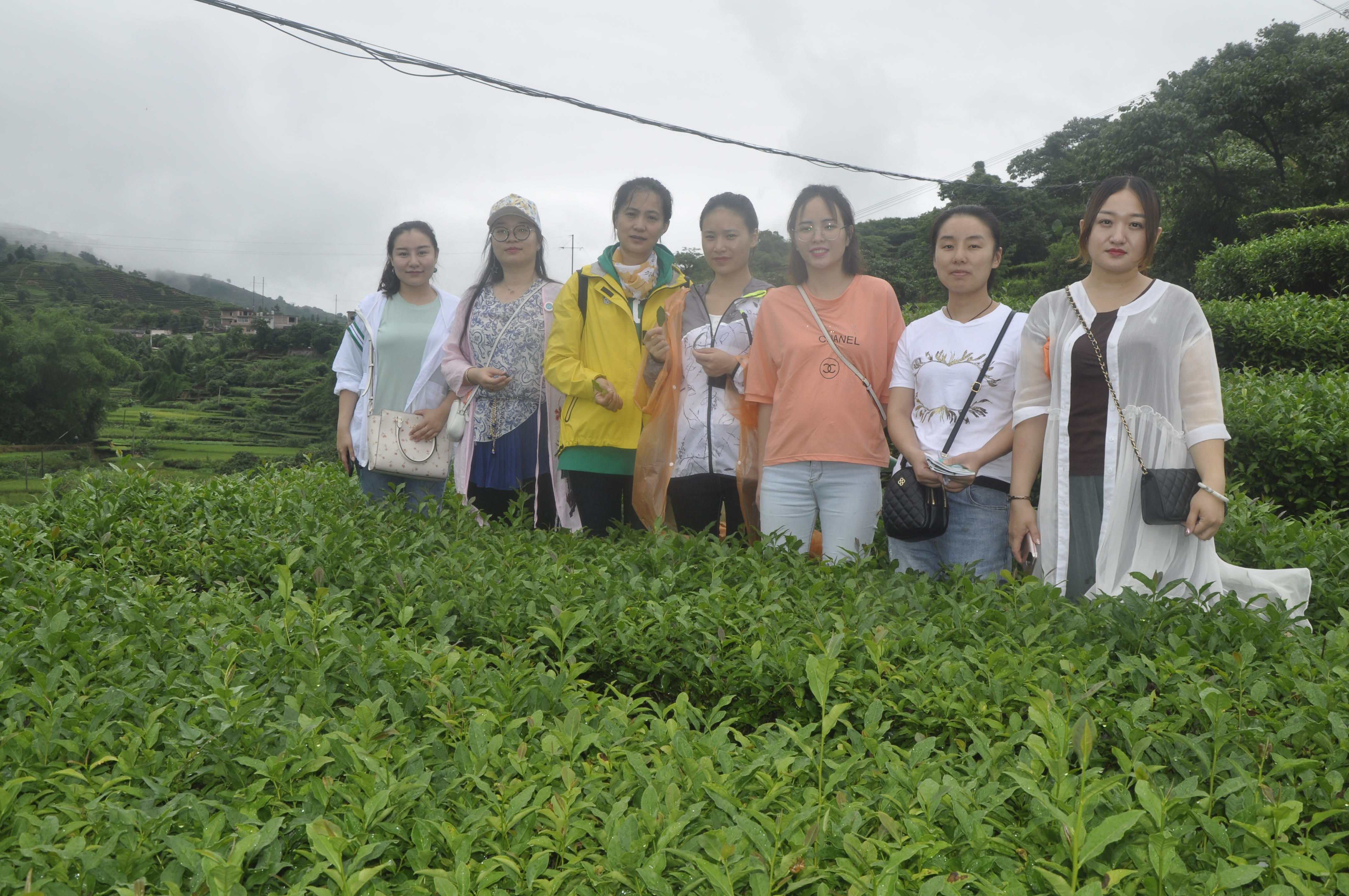 茶艺培训必看！天晟第204期中国茶学系统培训班来啦(图2)