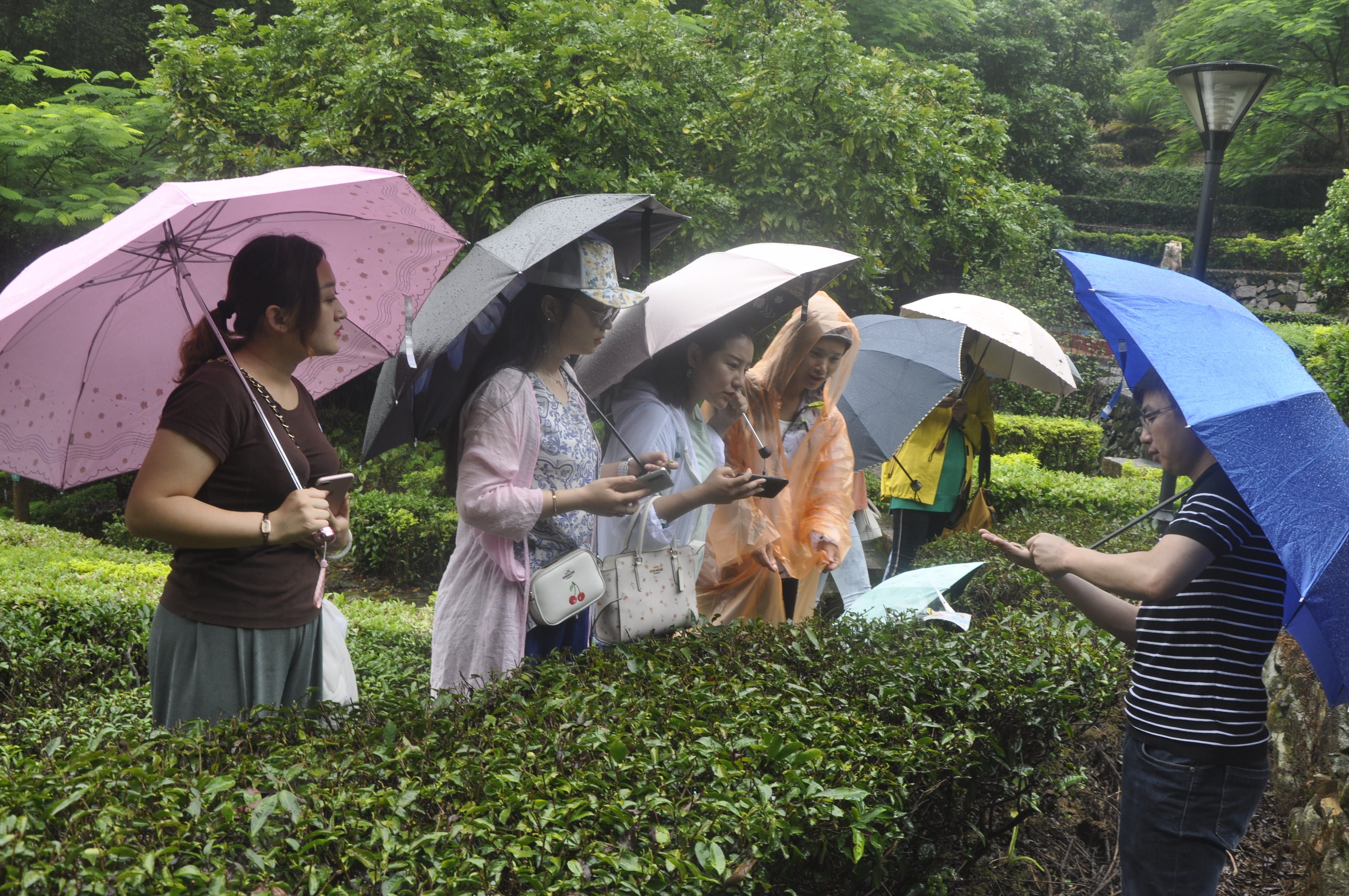 茶艺培训必看！天晟第204期中国茶学系统培训班来啦(图3)