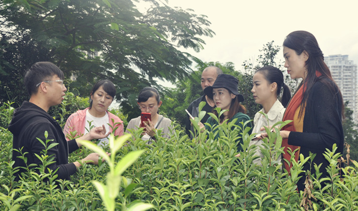 天晟茶艺培训学校学费有没有隐藏的优惠？(图1)