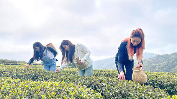 长春茶艺培训学员问天晟茶艺培训学校：零基础学茶艺可以完全学好吗?(图3)