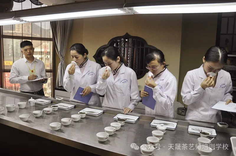 学茶艺哪里有培训?正月福建天晟习茶---第204期中国茶学系统培训班预约开启(图5) 学茶艺哪里有培训?正月福建天晟习茶---第204期中国茶学系统培训班预约开启(图5)