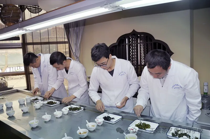 学茶艺,你找天晟茶艺培训学校了吗?记天晟中国茶学系统培训班的魅力(图6) 学茶艺,你找天晟茶艺培训学校了吗?记天晟中国茶学系统培训班的魅力(图6)