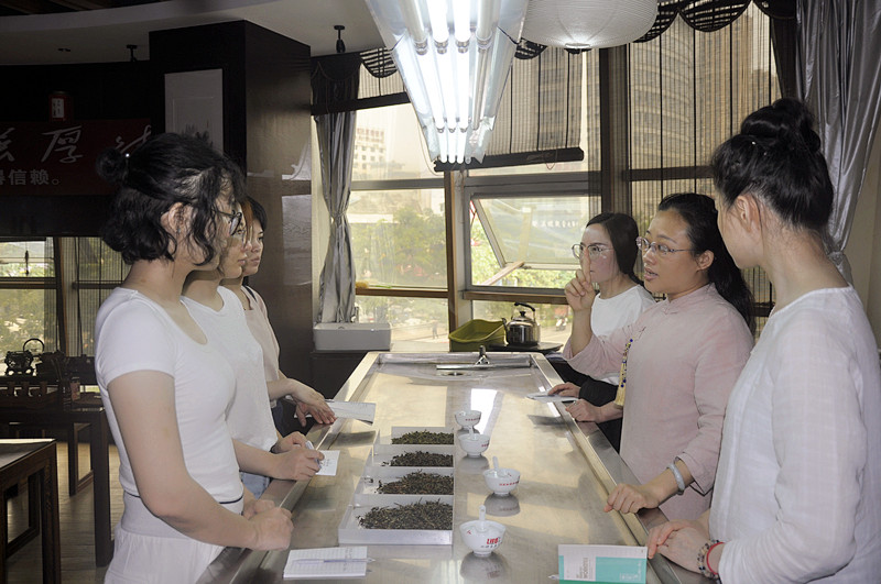天晟茶艺培训学习心得（精简版）(图5)