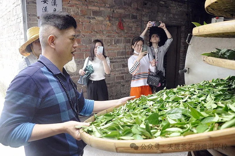 天晟茶艺培训学校204期中国茶学系统培训班——遇见茶,遇见更好的自己(图3) 天晟茶艺培训学校204期中国茶学系统培训班——遇见茶,遇见更好的自己(图3)