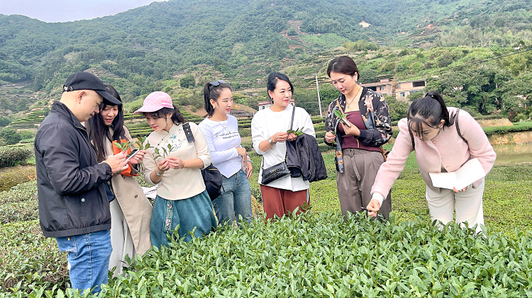 茶艺培训招生简章(图10)